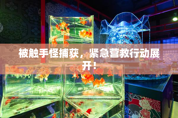 被触手怪捕获，紧急营救行动展开！