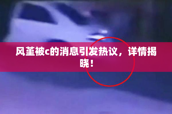 风堇被c的消息引发热议，详情揭晓！