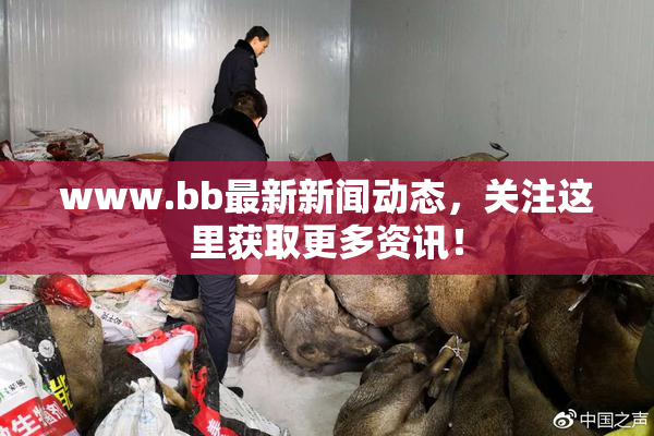 www.bb最新新闻动态，关注这里获取更多资讯！