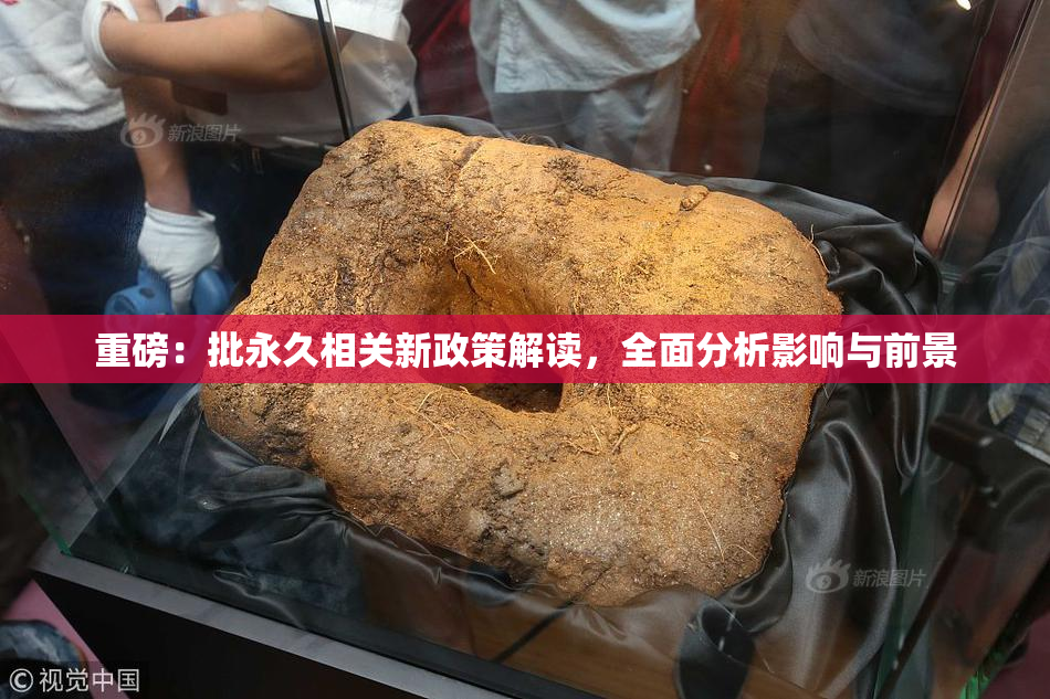 重磅：批永久相关新政策解读，全面分析影响与前景