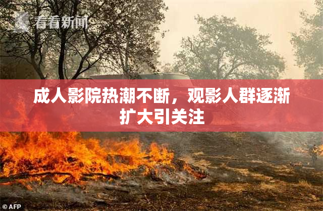 成人影院热潮不断，观影人群逐渐扩大引关注