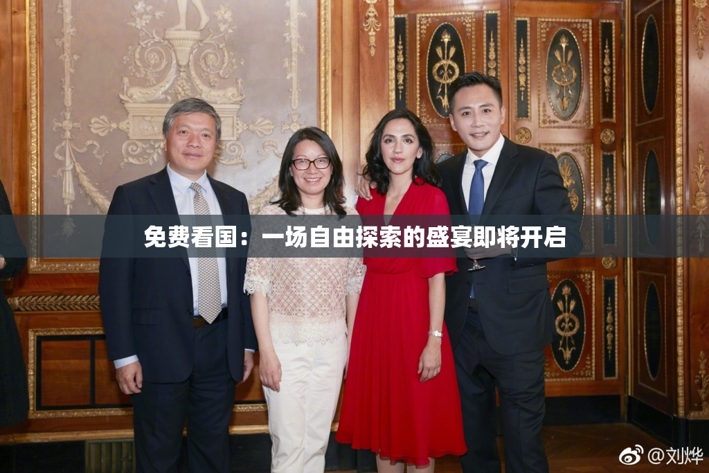免费看国：一场自由探索的盛宴即将开启