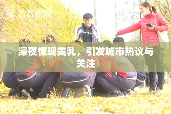 深夜惊现美乳，引发城市热议与关注