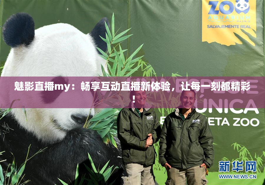 魅影直播my：畅享互动直播新体验，让每一刻都精彩！