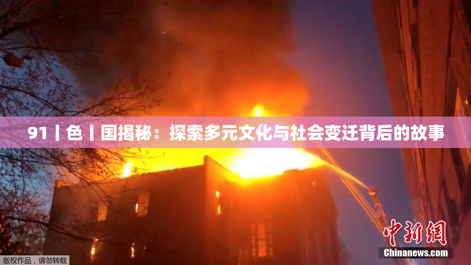 91丨色丨国揭秘：探索多元文化与社会变迁背后的故事