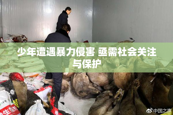 少年遭遇暴力侵害 亟需社会关注与保护