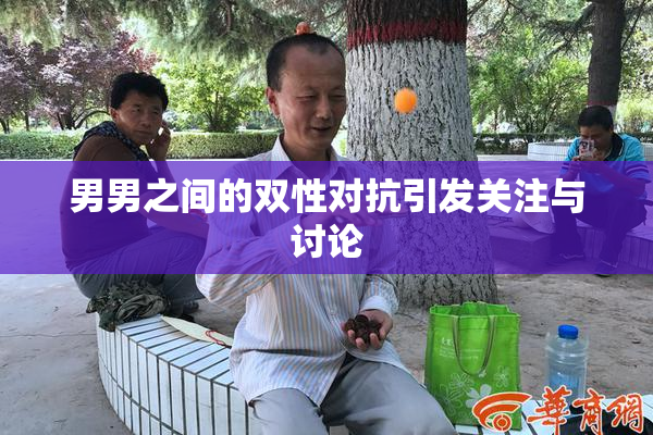 男男之间的双性对抗引发关注与讨论