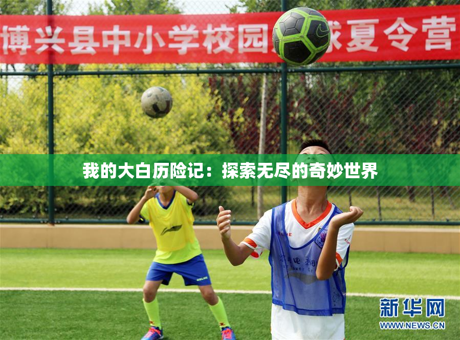 我的大白历险记：探索无尽的奇妙世界