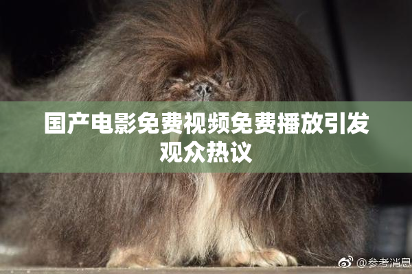 国产电影免费视频免费播放引发观众热议