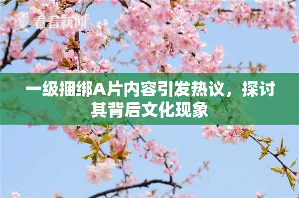 一级捆绑A片内容引发热议，探讨其背后文化现象