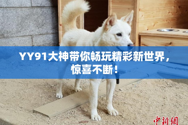 YY91大神带你畅玩精彩新世界，惊喜不断！