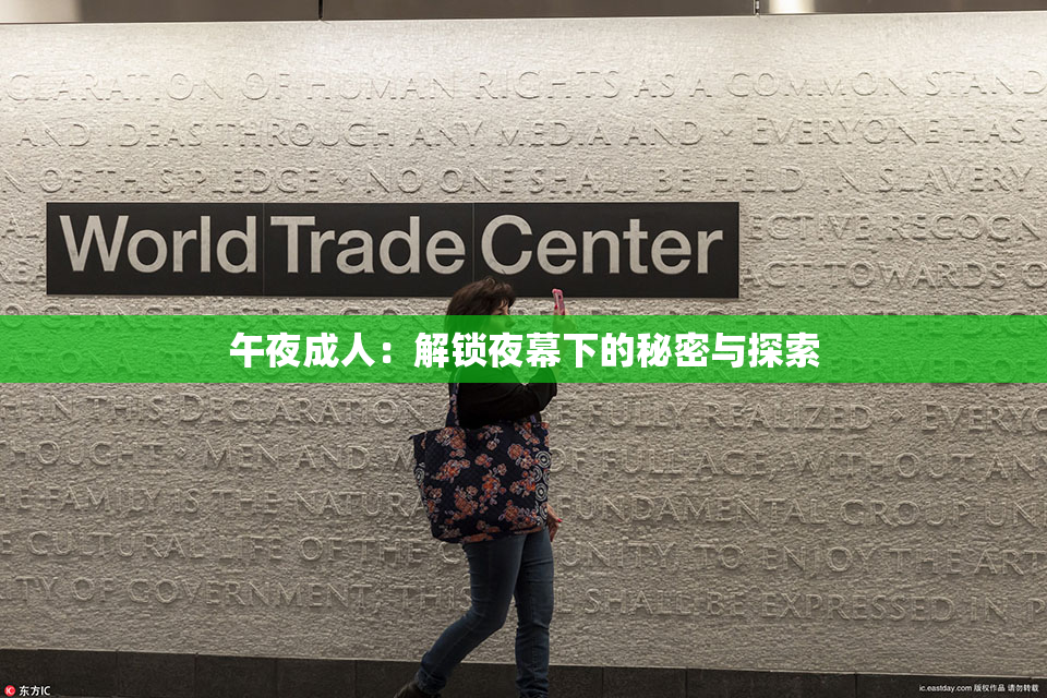 午夜成人：解锁夜幕下的秘密与探索