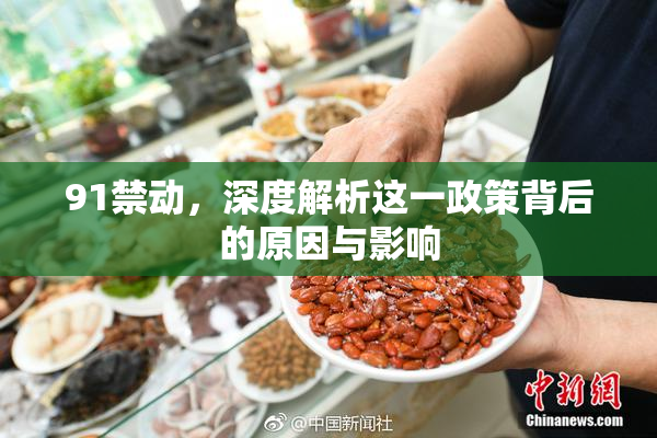91禁动，深度解析这一政策背后的原因与影响
