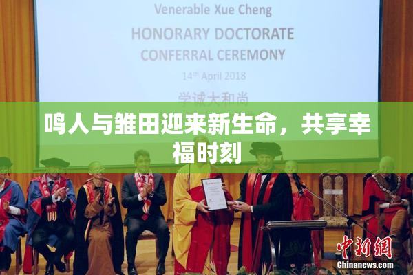 鸣人与雏田迎来新生命，共享幸福时刻