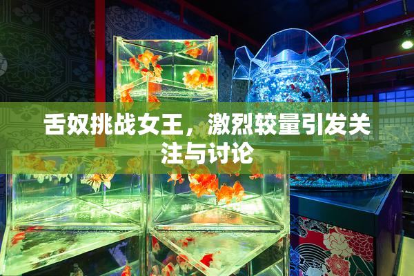 舌奴挑战女王，激烈较量引发关注与讨论