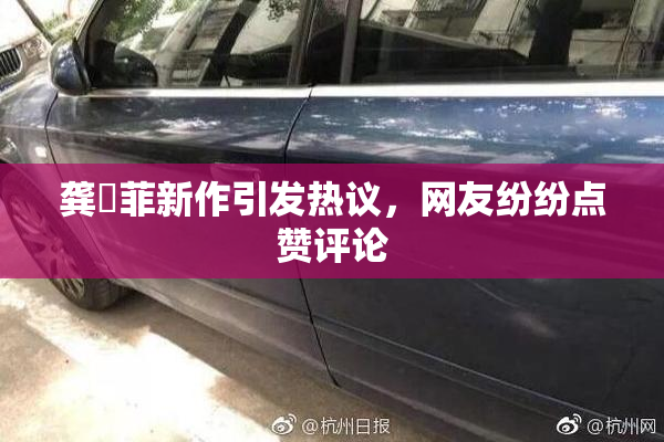 龚玥菲新作引发热议，网友纷纷点赞评论