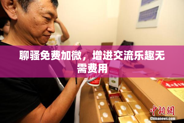 聊骚免费加微，增进交流乐趣无需费用