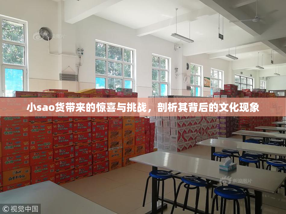 小sao货带来的惊喜与挑战，剖析其背后的文化现象