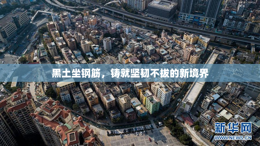 黑土坐钢筋，铸就坚韧不拔的新境界