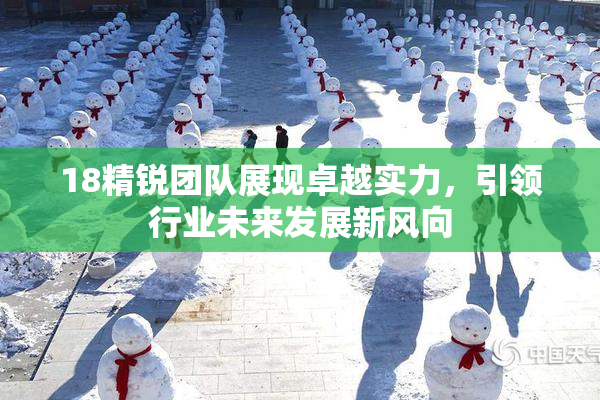 18精锐团队展现卓越实力，引领行业未来发展新风向