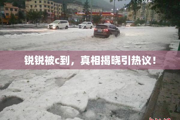 锐锐被c到，真相揭晓引热议！