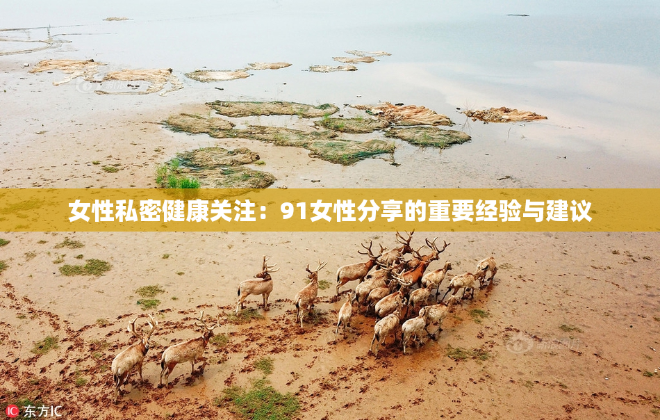 女性私密健康关注：91女性分享的重要经验与建议