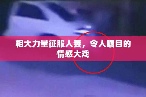 粗大力量征服人妻，令人瞩目的情感大戏