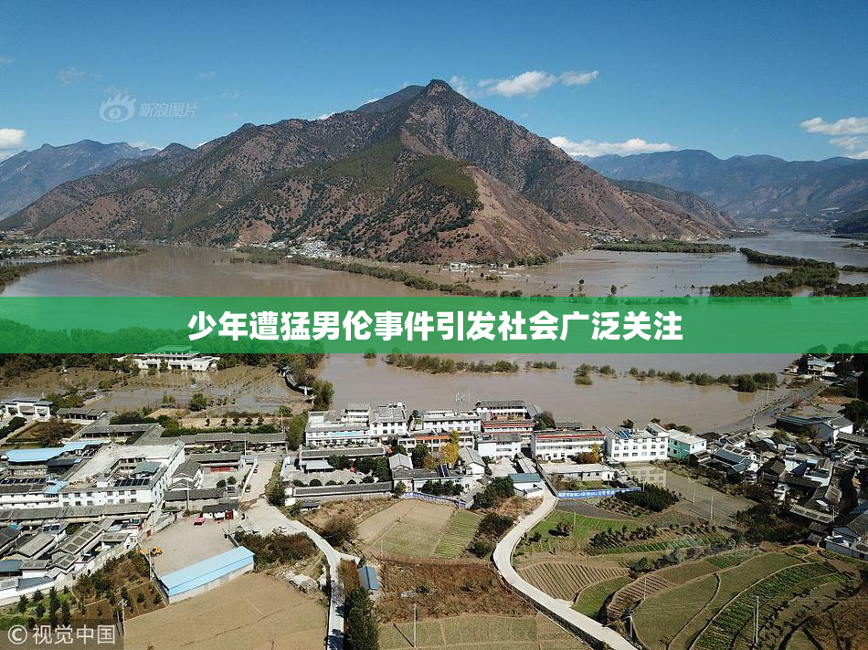 少年遭猛男伦事件引发社会广泛关注