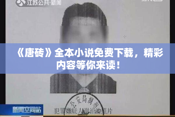 《唐砖》全本小说免费下载，精彩内容等你来读！