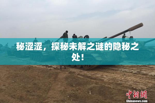 秘涩涩，探秘未解之谜的隐秘之处！