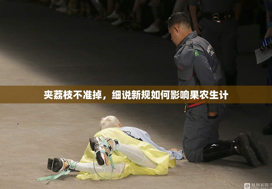 夹荔枝不准掉，细说新规如何影响果农生计
