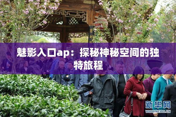 魅影入口ap：探秘神秘空间的独特旅程