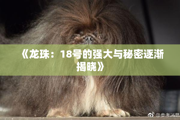 《龙珠：18号的强大与秘密逐渐揭晓》