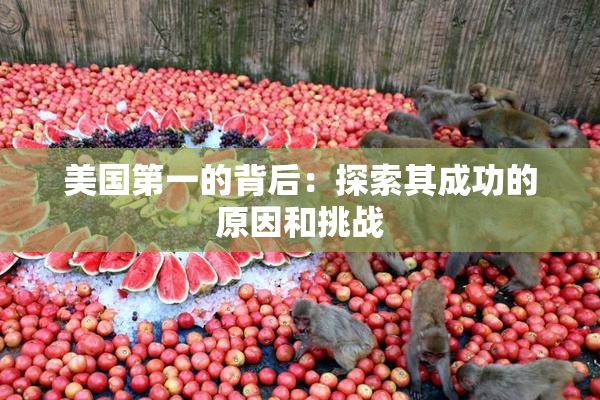 美国第一的背后：探索其成功的原因和挑战