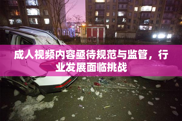 成人视频内容亟待规范与监管，行业发展面临挑战