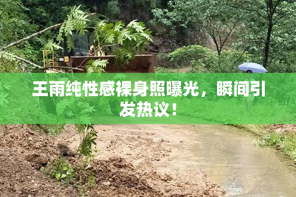 王雨纯性感裸身照曝光，瞬间引发热议！