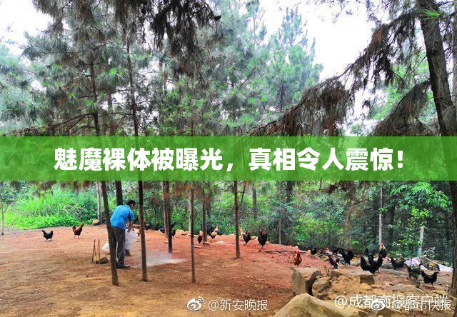 魅魔裸体被曝光，真相令人震惊！