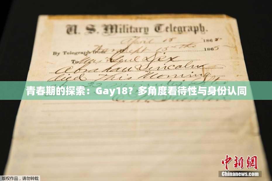 青春期的探索：Gay18？多角度看待性与身份认同