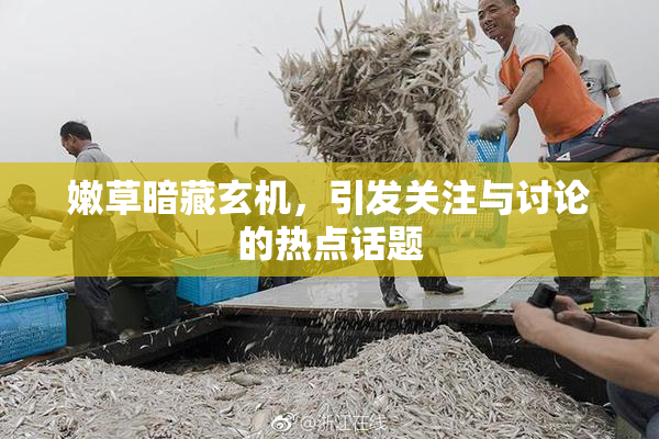 嫩草暗藏玄机，引发关注与讨论的热点话题