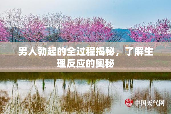 男人勃起的全过程揭秘，了解生理反应的奥秘