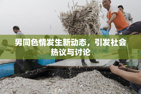 男同色情发生新动态，引发社会热议与讨论
