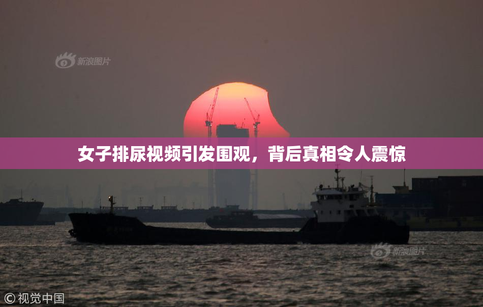 女子排尿视频引发围观，背后真相令人震惊