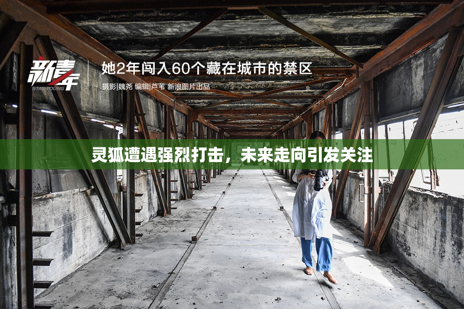 灵狐遭遇强烈打击，未来走向引发关注