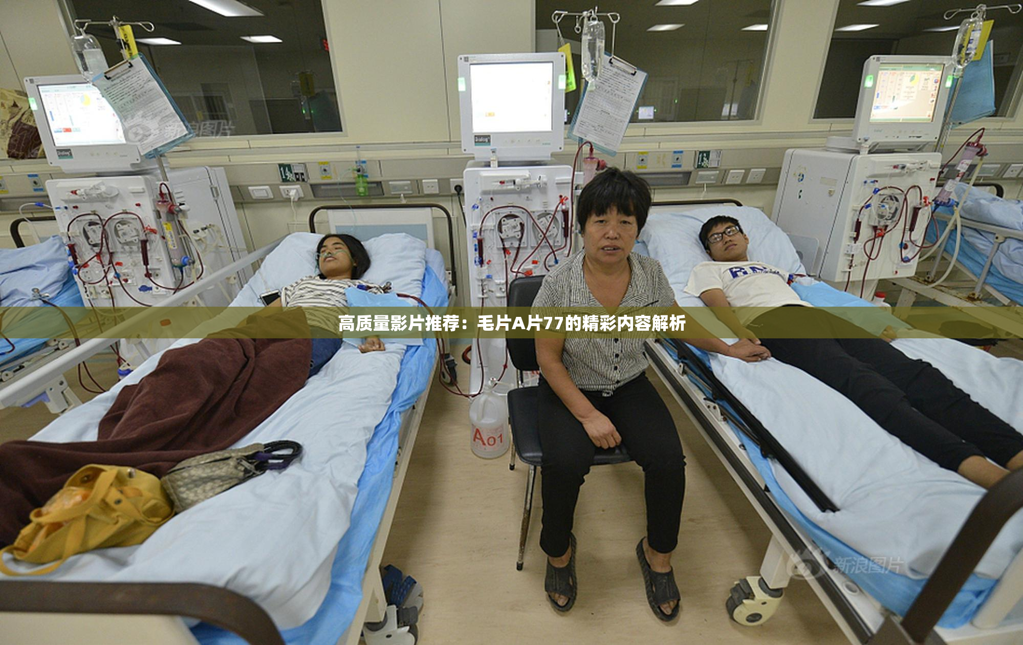 高质量影片推荐：毛片A片77的精彩内容解析