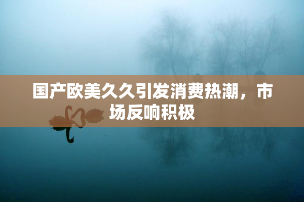 国产欧美久久引发消费热潮，市场反响积极