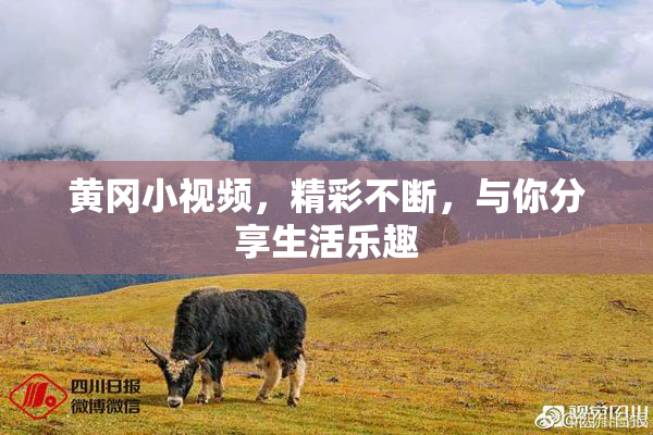 黄冈小视频，精彩不断，与你分享生活乐趣