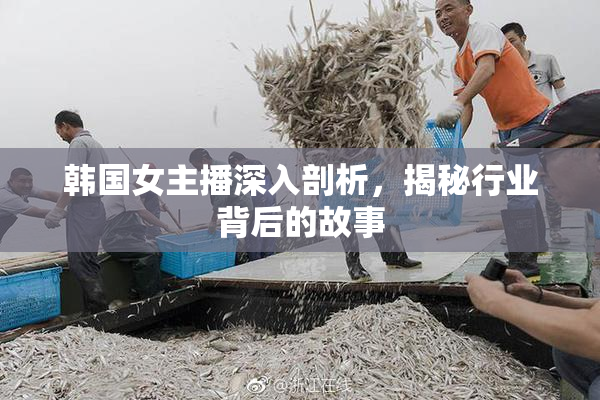 韩国女主播深入剖析，揭秘行业背后的故事