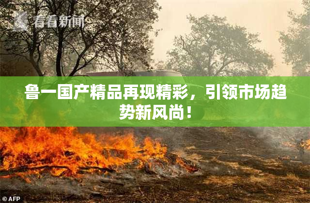 鲁一国产精品再现精彩，引领市场趋势新风尚！
