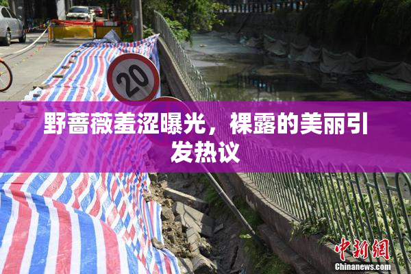 野蔷薇羞涩曝光，裸露的美丽引发热议