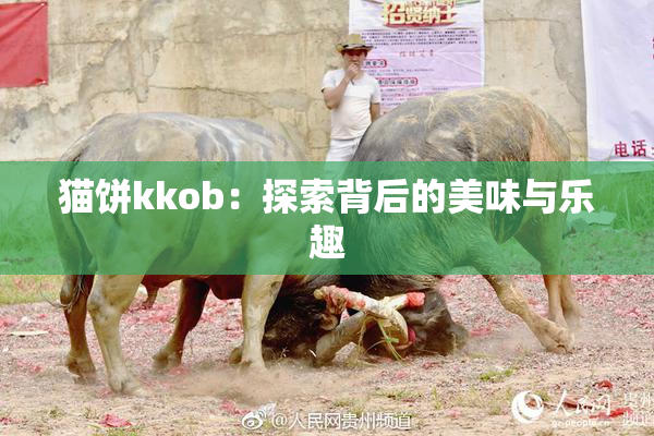 猫饼kkob：探索背后的美味与乐趣